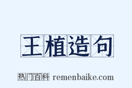 王植造句是什么意思的图片